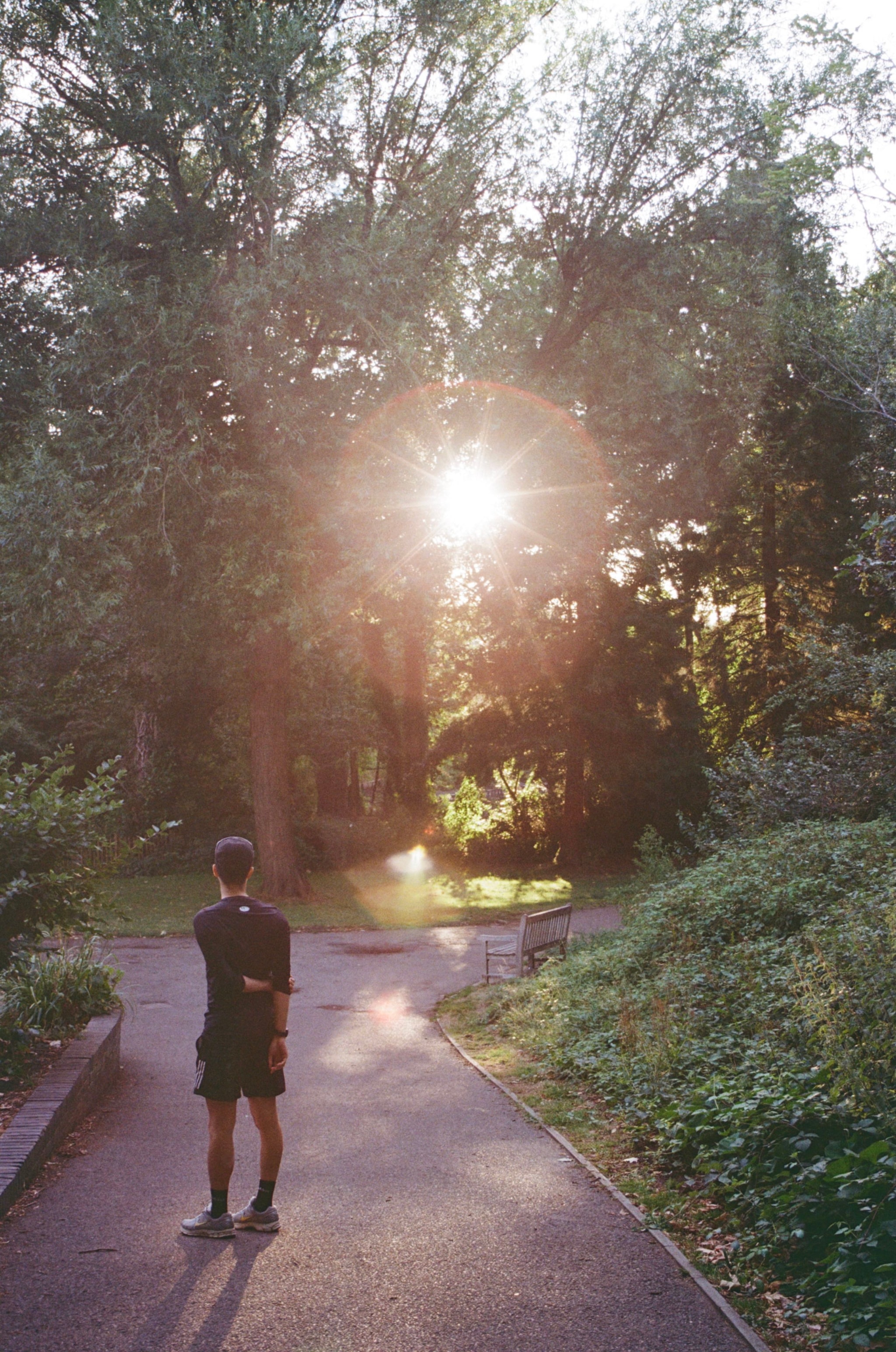 Blinded by the light